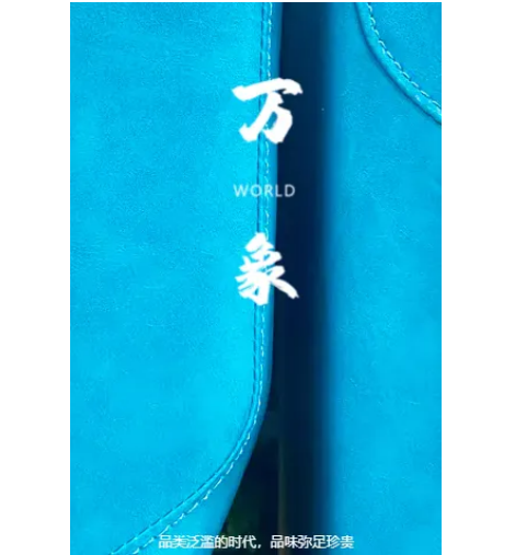 【萬(wàn)象】品類濫的時(shí)代，品味彌足珍貴！